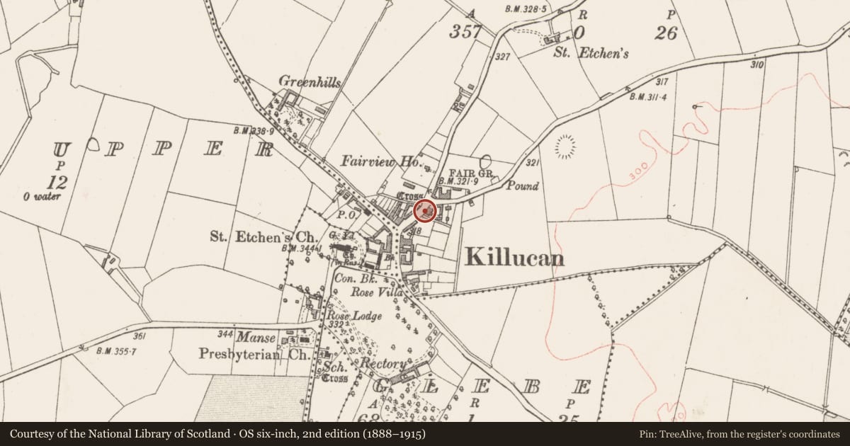 Ordnance Survey six-inch map, 2nd edition (1888–1915) covering the location of Cross - Wayside cross, Killucan, County Westmeath, with a pin at the register's coordinates