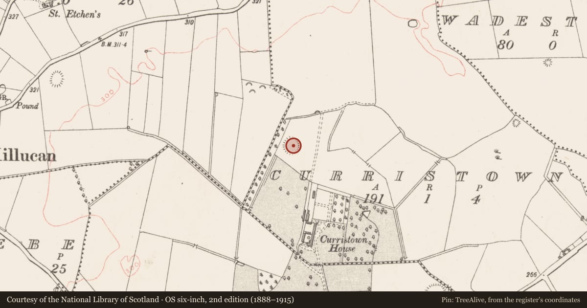 Ordnance Survey six-inch map, 2nd edition (1888–1915) covering the location of Ringfort - rath, Curristown, County Westmeath, with a pin at the register's coordinates