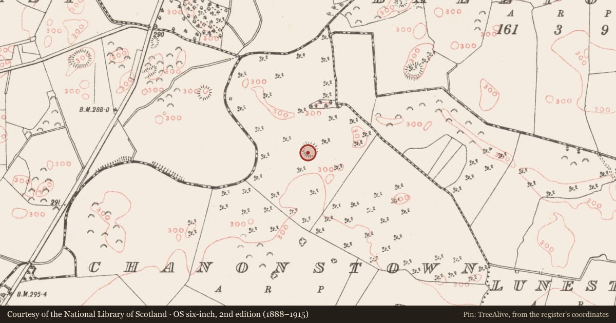 Ordnance Survey six-inch map, 2nd edition (1888–1915) covering the location of Ringfort - unclassified, Chanonstown, County Westmeath, with a pin at the register's coordinates