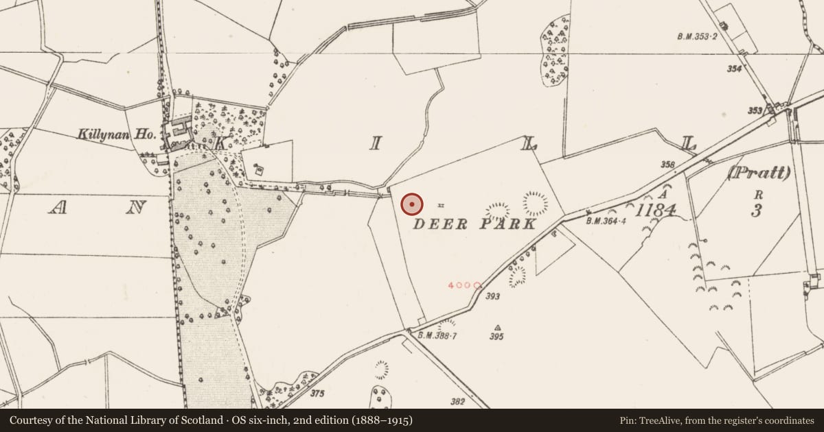 Ordnance Survey six-inch map, 2nd edition (1888–1915) covering the location of Enclosure, Killynan (Pratt), County Westmeath, with a pin at the register's coordinates