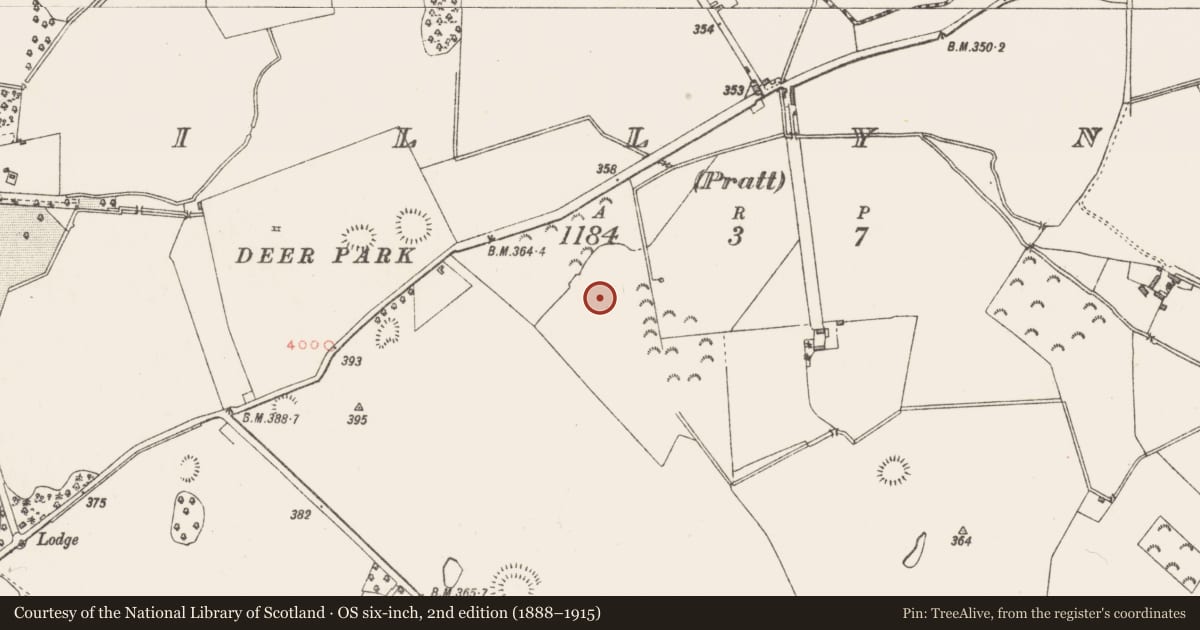 Ordnance Survey six-inch map, 2nd edition (1888–1915) covering the location of Ringfort - unclassified, Killynan (Pratt), County Westmeath, with a pin at the register's coordinates