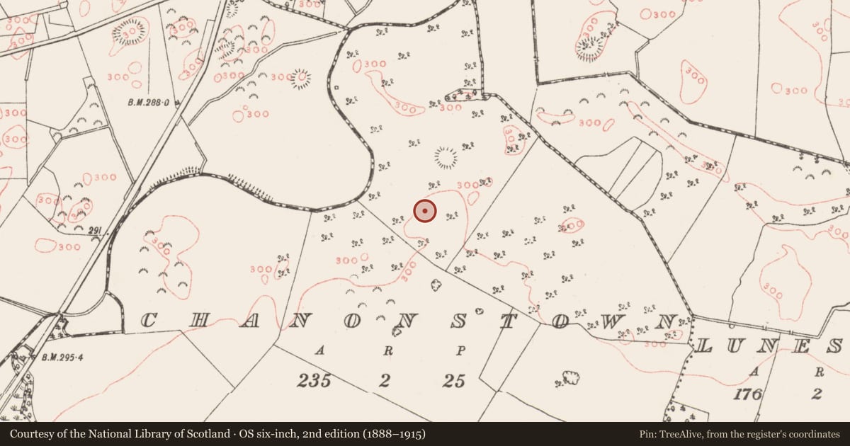 Ordnance Survey six-inch map, 2nd edition (1888–1915) covering the location of Ringfort - unclassified, Chanonstown, County Westmeath, with a pin at the register's coordinates