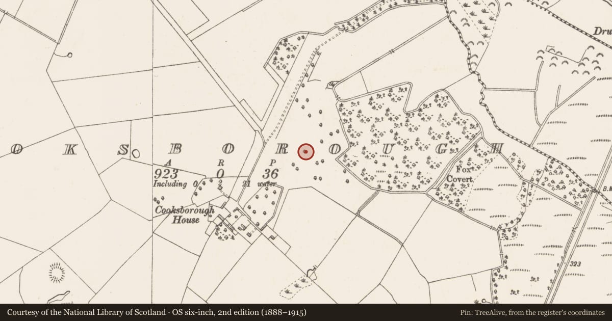 Ordnance Survey six-inch map, 2nd edition (1888–1915) covering the location of Ring-ditch, Cooksborough, County Westmeath, with a pin at the register's coordinates