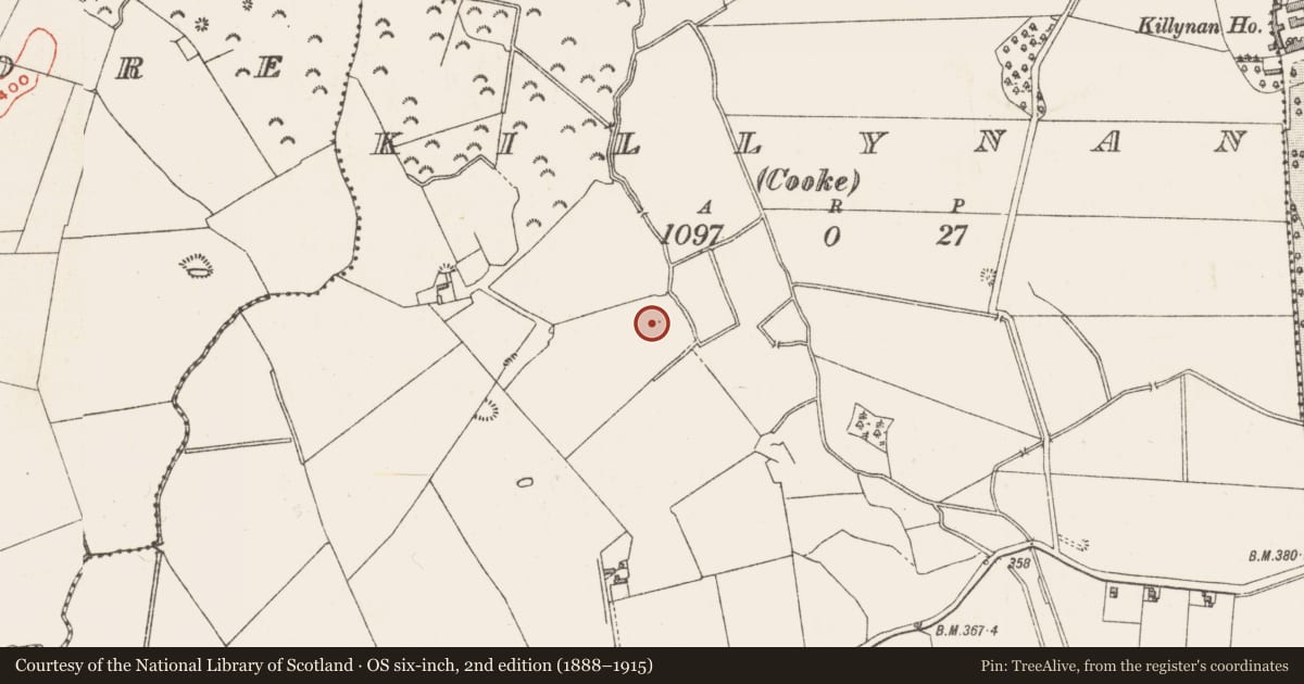 Ordnance Survey six-inch map, 2nd edition (1888–1915) covering the location of Enclosure, Killynan (Cooke), County Westmeath, with a pin at the register's coordinates
