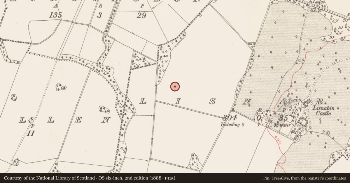 Ordnance Survey six-inch map, 2nd edition (1888–1915) covering the location of Enclosure - large enclosure, Lisnabin, County Westmeath, with a pin at the register's coordinates