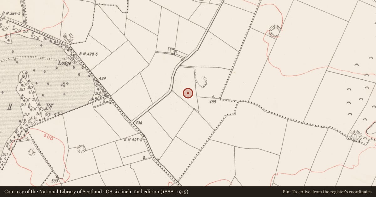 Ordnance Survey six-inch map, 2nd edition (1888–1915) covering the location of Earthwork, Hodgestown, County Westmeath, with a pin at the register's coordinates