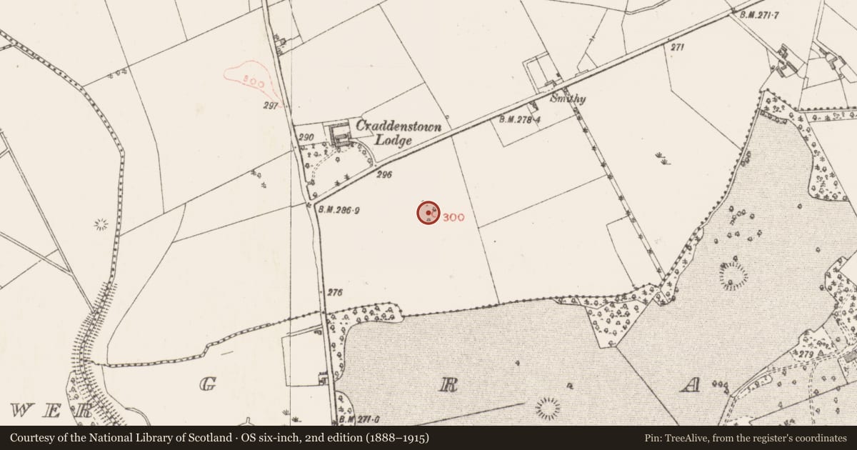 Ordnance Survey six-inch map, 2nd edition (1888–1915) covering the location of Designed landscape - tree-ring, Craddanstown, County Westmeath, with a pin at the register's coordinates