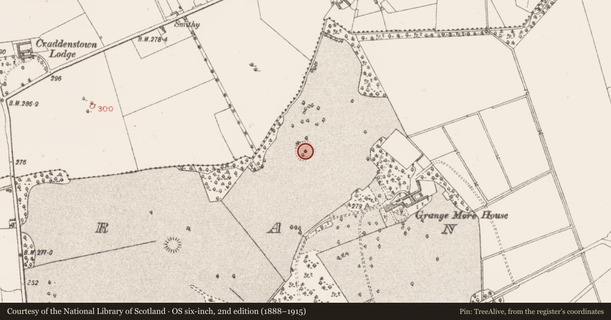 Ordnance Survey six-inch map, 2nd edition (1888–1915) covering the location of Ringfort - rath, Grange More, County Westmeath, with a pin at the register's coordinates