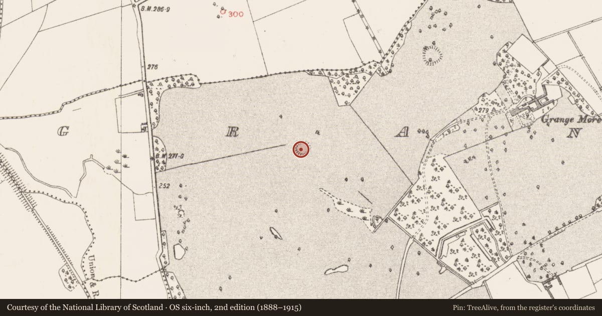 Ordnance Survey six-inch map, 2nd edition (1888–1915) covering the location of Ringfort - rath, Grange More, County Westmeath, with a pin at the register's coordinates