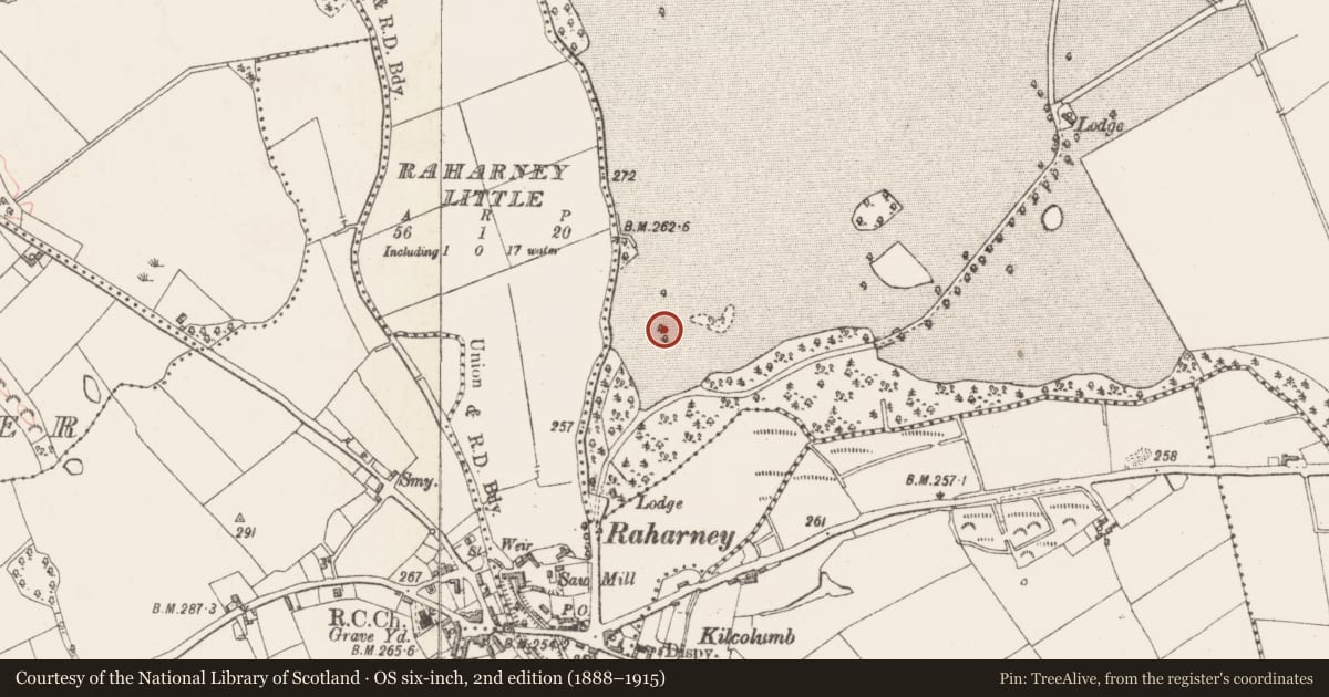 Ordnance Survey six-inch map, 2nd edition (1888–1915) covering the location of Building, Grange More, County Westmeath, with a pin at the register's coordinates