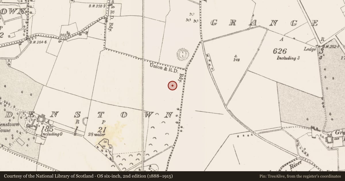 Ordnance Survey six-inch map, 2nd edition (1888–1915) covering the location of Ringfort - rath, Wardenstown, County Westmeath, with a pin at the register's coordinates