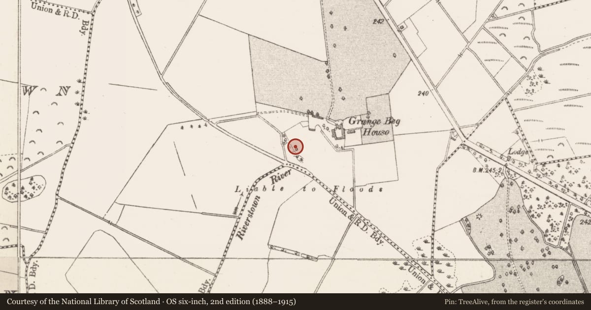 Ordnance Survey six-inch map, 2nd edition (1888–1915) covering the location of Castle - tower house, Grange Beg, County Westmeath, with a pin at the register's coordinates