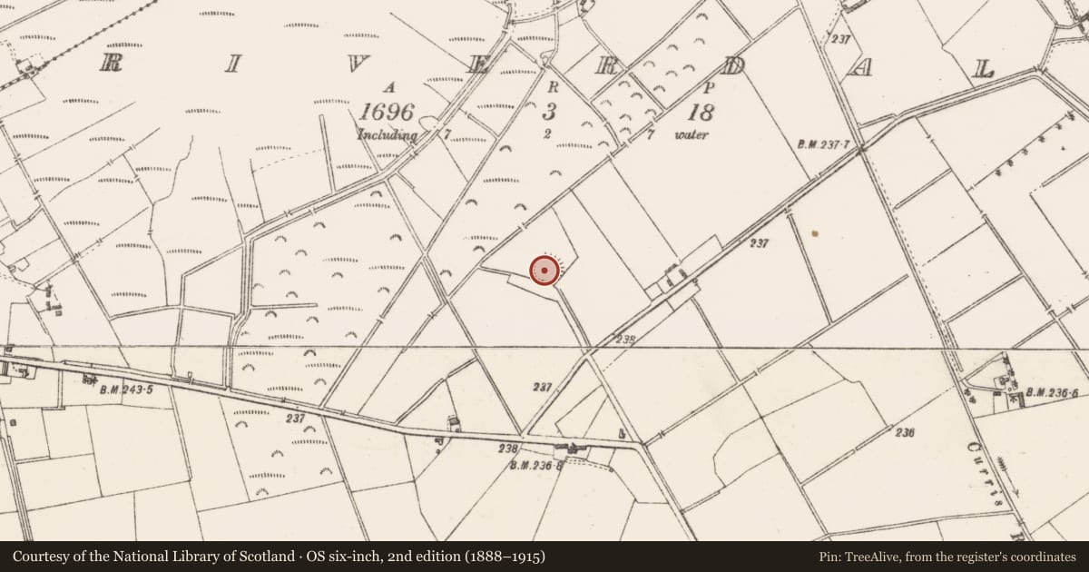 Ordnance Survey six-inch map, 2nd edition (1888–1915) covering the location of Ringfort - rath, Riverdale, County Westmeath, with a pin at the register's coordinates