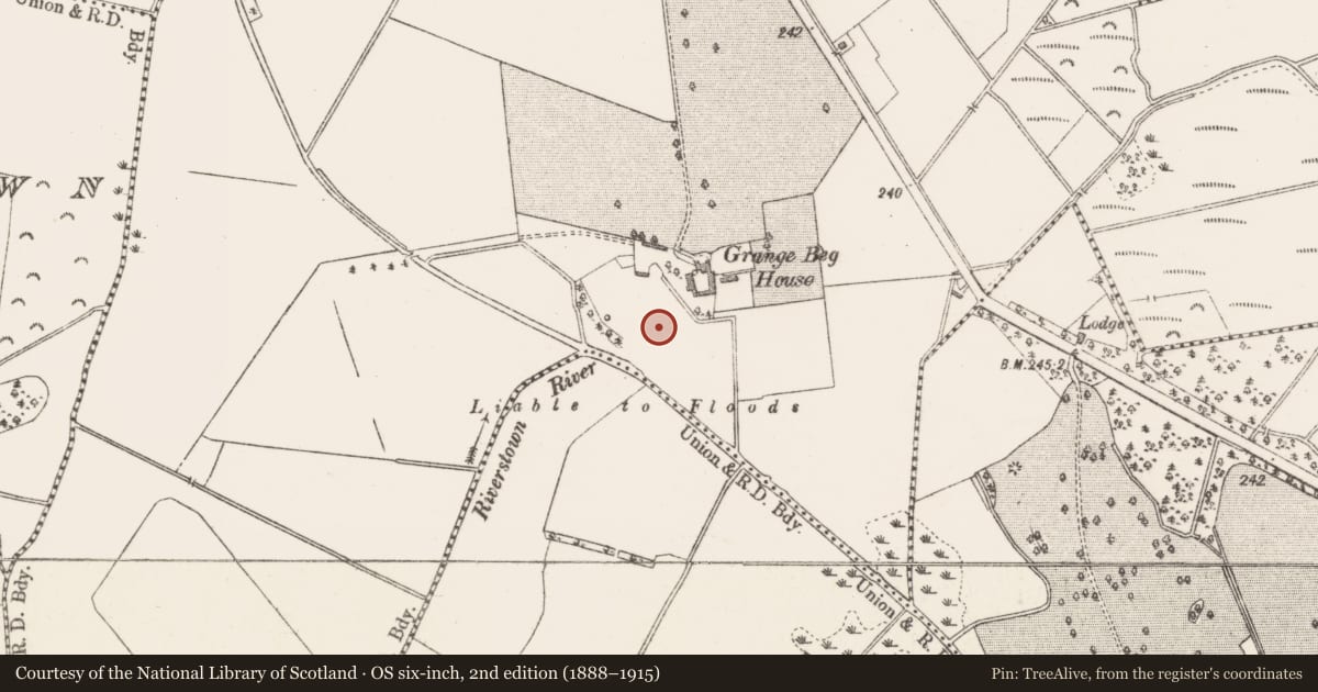 Ordnance Survey six-inch map, 2nd edition (1888–1915) covering the location of Burial, Grange Beg, County Westmeath, with a pin at the register's coordinates