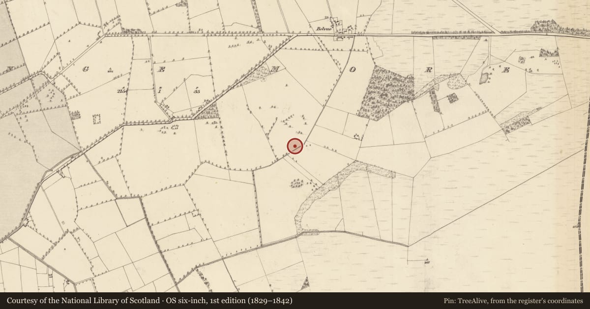 Ordnance Survey six-inch map, 1st edition (1829–1842) covering the location of Earthwork, Grange More, County Westmeath, with a pin at the register's coordinates