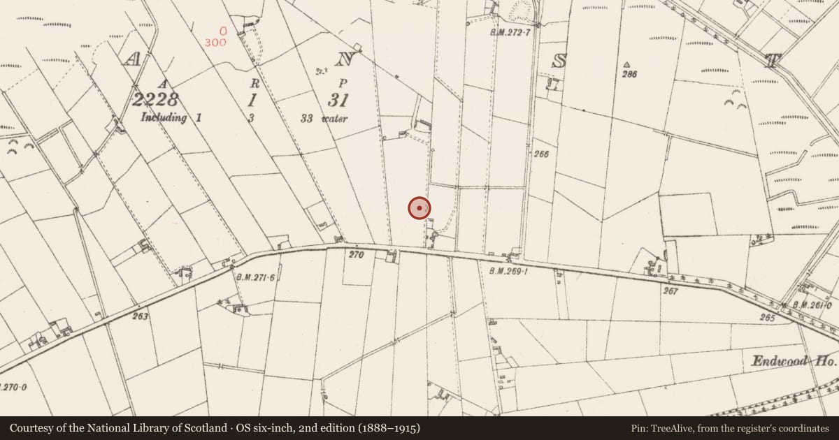 Ordnance Survey six-inch map, 2nd edition (1888–1915) covering the location of Earthwork, Craddanstown, County Westmeath, with a pin at the register's coordinates