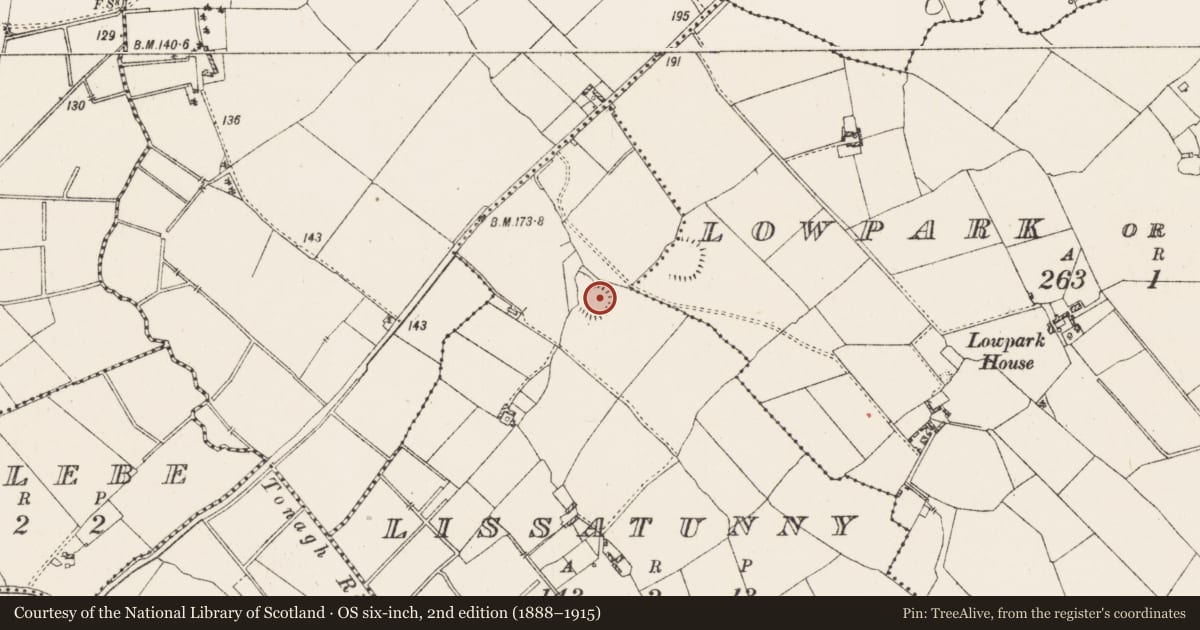 Ordnance Survey six-inch map, 2nd edition (1888–1915) covering the location of Ringfort - rath, Lissatunny, County Westmeath, with a pin at the register's coordinates