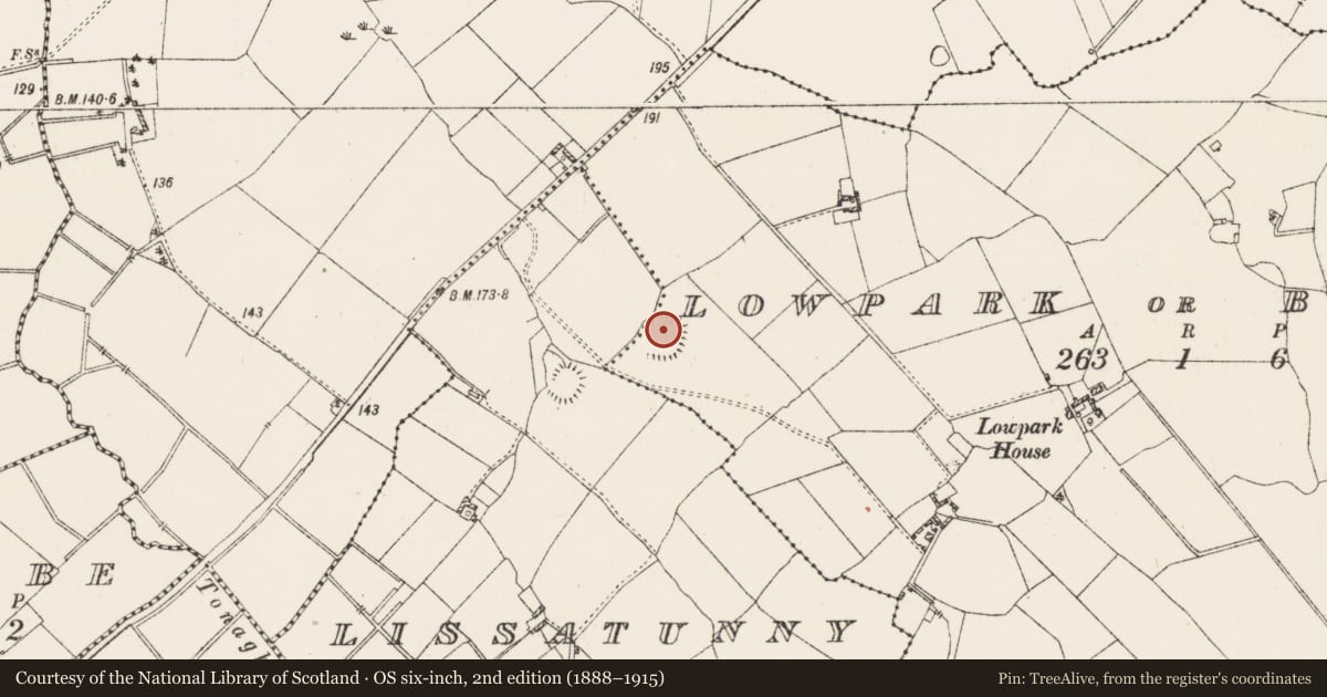 Ordnance Survey six-inch map, 2nd edition (1888–1915) covering the location of Ringfort - rath, Lowpark Or Ballyboy, County Westmeath, with a pin at the register's coordinates