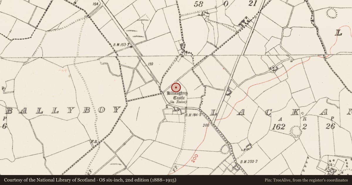 Ordnance Survey six-inch map, 2nd edition (1888–1915) covering the location of Castle - unclassified, Kilfaughny, County Westmeath, with a pin at the register's coordinates
