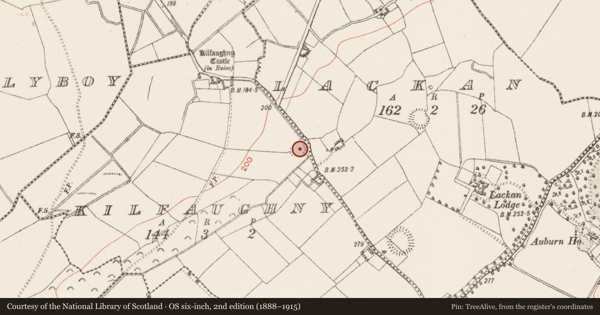 Ordnance Survey six-inch map, 2nd edition (1888–1915) covering the location of Ringfort - rath, Kilfaughny, County Westmeath, with a pin at the register's coordinates