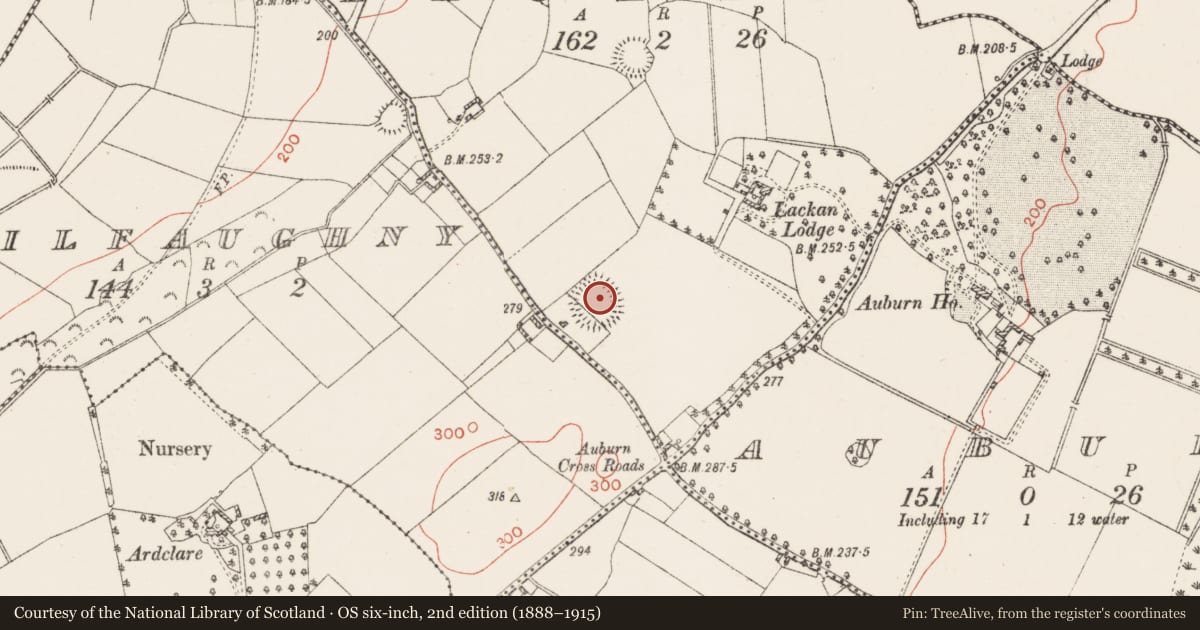 Ordnance Survey six-inch map, 2nd edition (1888–1915) covering the location of Ringfort - rath, Lackan, County Westmeath, with a pin at the register's coordinates