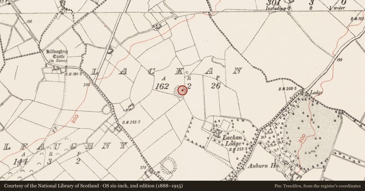 Ordnance Survey six-inch map, 2nd edition (1888–1915) covering the location of Ringfort - rath, Lackan, County Westmeath, with a pin at the register's coordinates