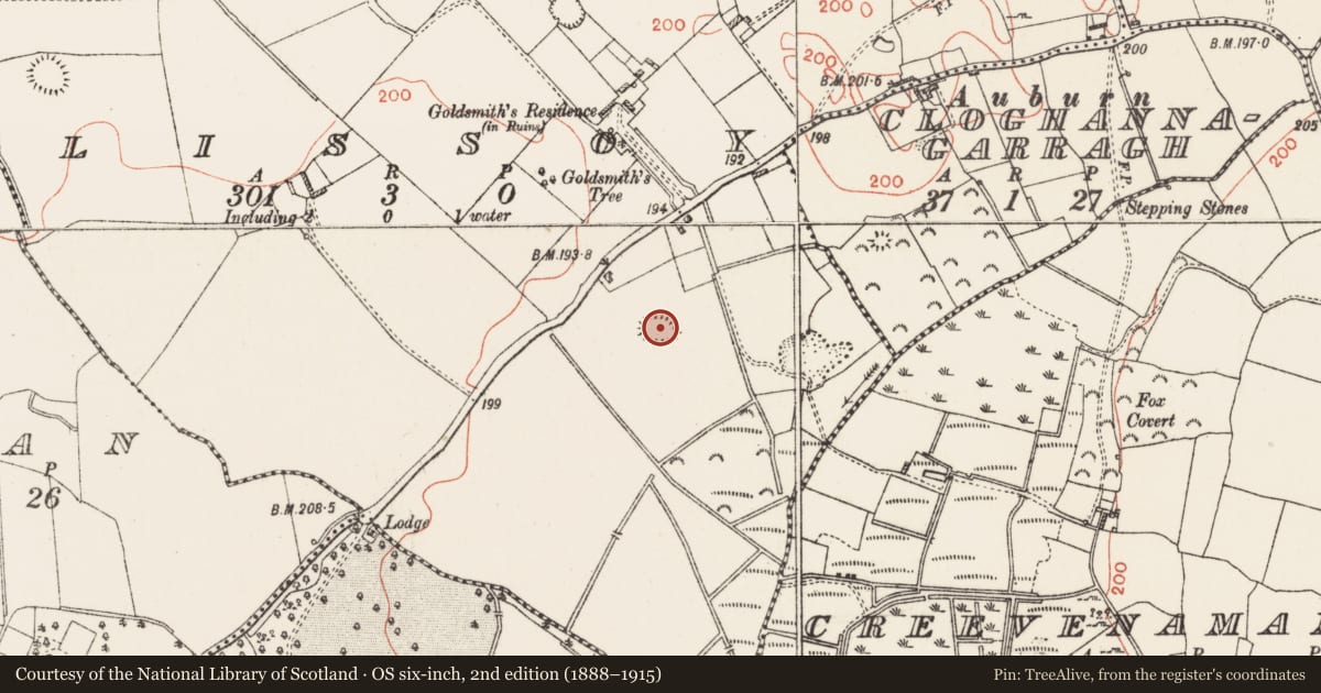 Ordnance Survey six-inch map, 2nd edition (1888–1915) covering the location of Ringfort - rath, Lissoy, County Westmeath, with a pin at the register's coordinates