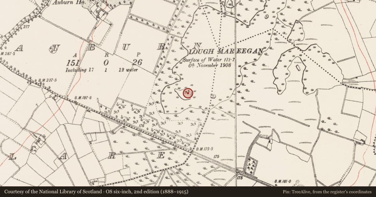 Ordnance Survey six-inch map, 2nd edition (1888–1915) covering the location of Crannog, Auburn (Lough Mareegan), County Westmeath, with a pin at the register's coordinates