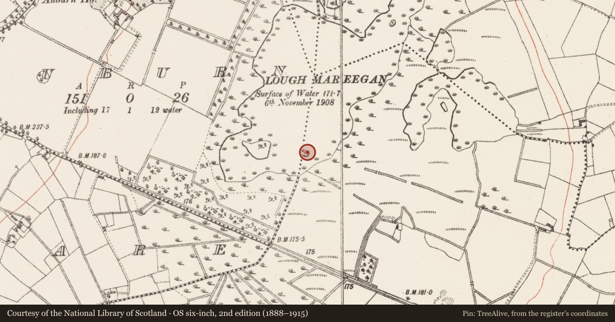 Ordnance Survey six-inch map, 2nd edition (1888–1915) covering the location of Crannog, Kilkenny West, County Westmeath, with a pin at the register's coordinates