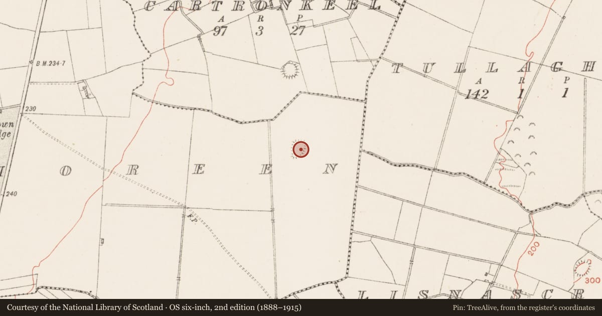 Ordnance Survey six-inch map, 2nd edition (1888–1915) covering the location of Ringfort - rath, Farrannamoreen, County Westmeath, with a pin at the register's coordinates