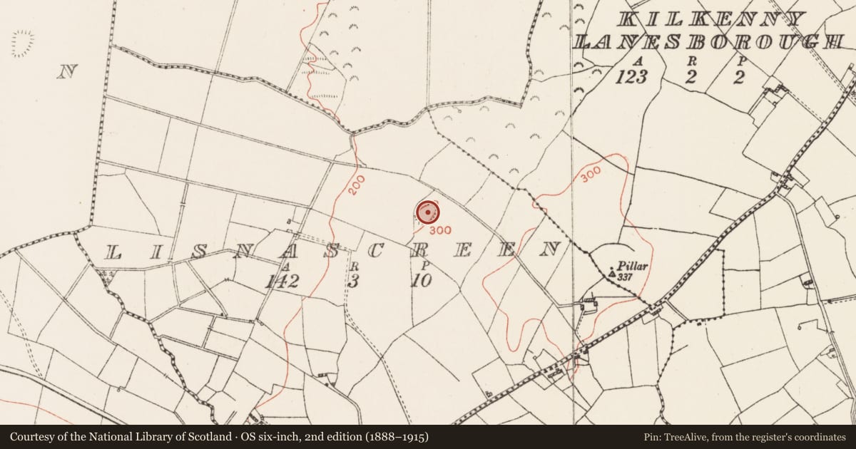 Ordnance Survey six-inch map, 2nd edition (1888–1915) covering the location of Ringfort - rath, Lisnascreen, County Westmeath, with a pin at the register's coordinates