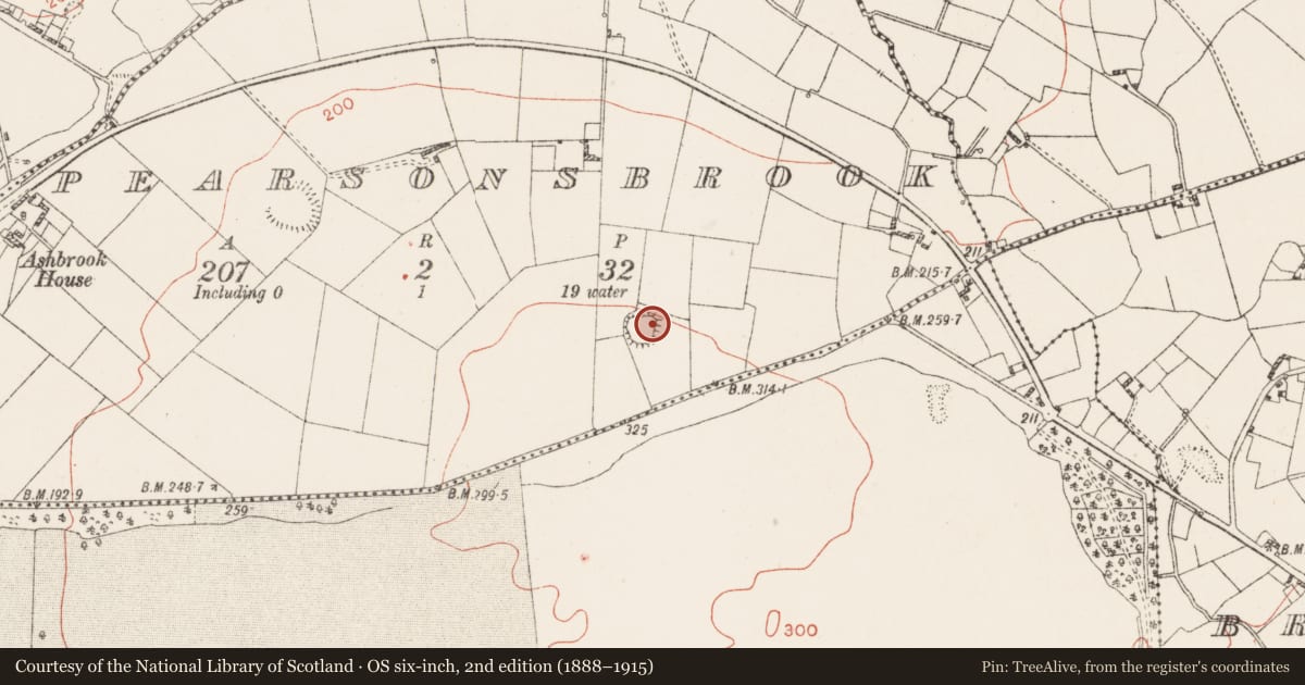 Ordnance Survey six-inch map, 2nd edition (1888–1915) covering the location of Ringfort - rath, Pearsonsbrook, County Westmeath, with a pin at the register's coordinates