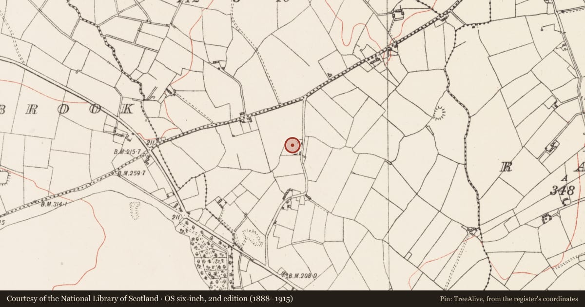 Ordnance Survey six-inch map, 2nd edition (1888–1915) covering the location of Ringfort - rath, Brittas, County Westmeath, with a pin at the register's coordinates
