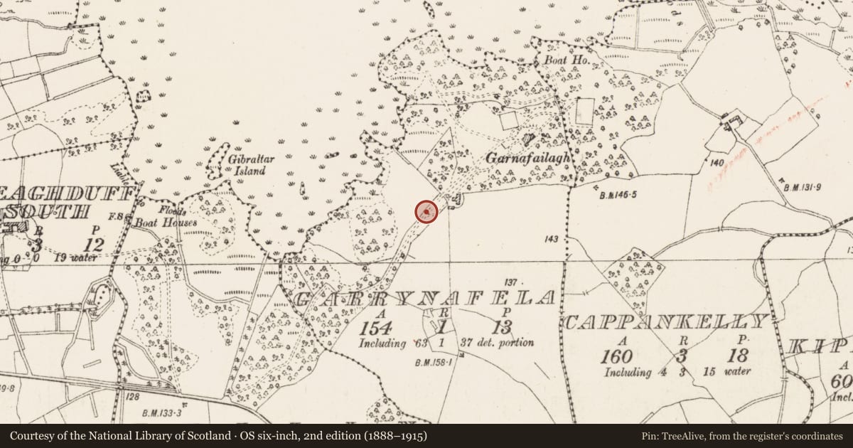 Ordnance Survey six-inch map, 2nd edition (1888–1915) covering the location of Castle - unclassified, Garrynafela, County Westmeath, with a pin at the register's coordinates