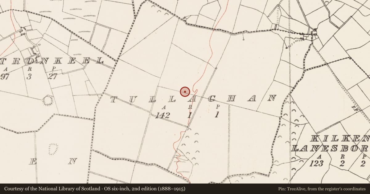 Ordnance Survey six-inch map, 2nd edition (1888–1915) covering the location of Enclosure, Tullaghan, County Westmeath, with a pin at the register's coordinates