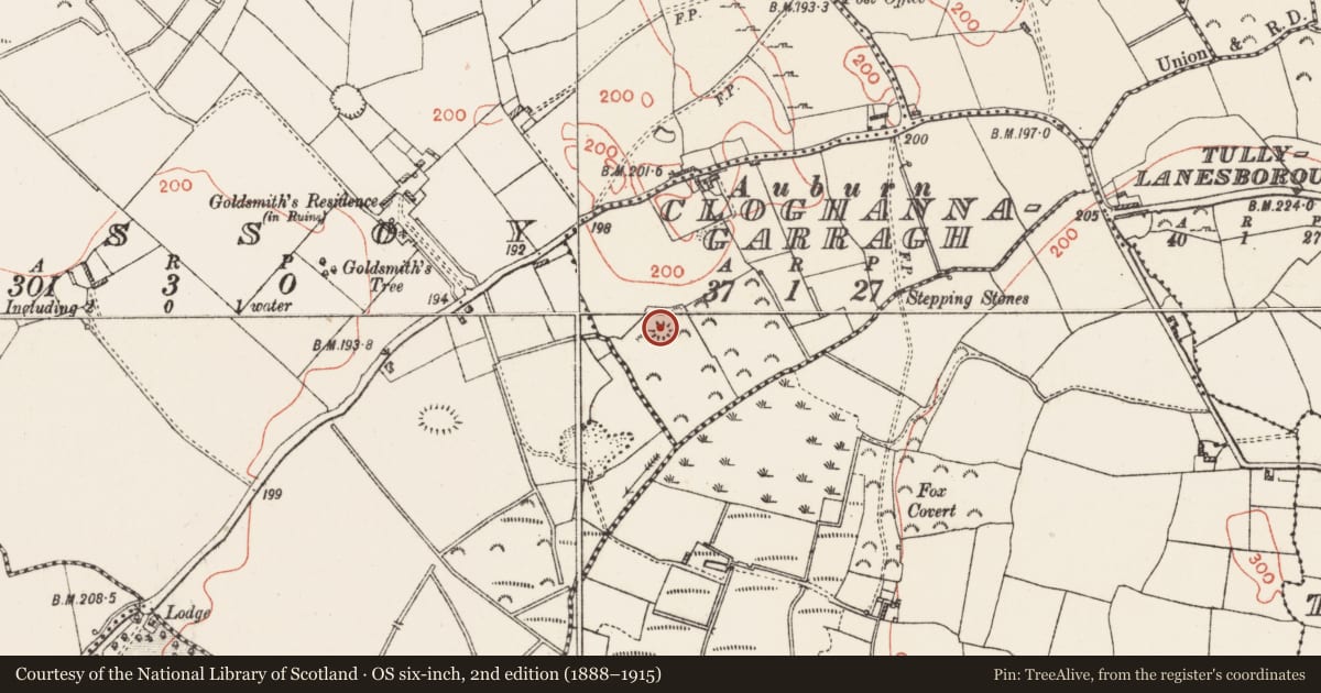Ordnance Survey six-inch map, 2nd edition (1888–1915) covering the location of Ringfort - rath, Cloghannagarragh, County Westmeath, with a pin at the register's coordinates