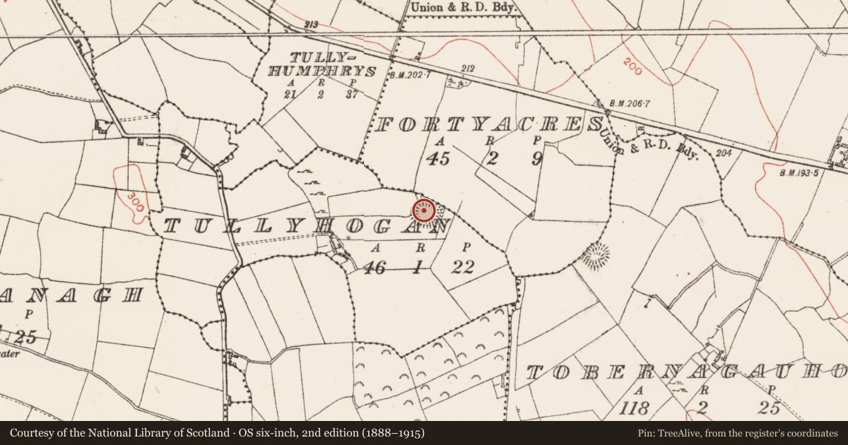 Ordnance Survey six-inch map, 2nd edition (1888–1915) covering the location of Ringfort - rath, Tullyhogan, County Westmeath, with a pin at the register's coordinates
