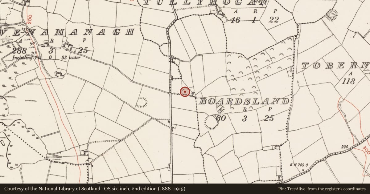 Ordnance Survey six-inch map, 2nd edition (1888–1915) covering the location of Ringfort - rath, Boardsland, County Westmeath, with a pin at the register's coordinates