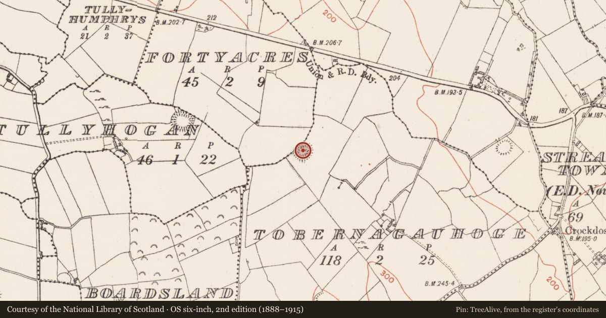 Ordnance Survey six-inch map, 2nd edition (1888–1915) covering the location of Ringfort - rath, Tobernagauhoge, County Westmeath, with a pin at the register's coordinates