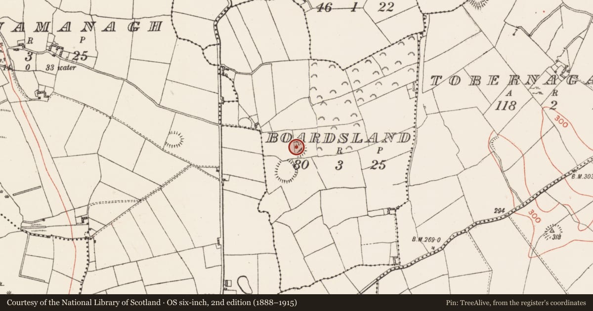Ordnance Survey six-inch map, 2nd edition (1888–1915) covering the location of Ringfort - rath, Boardsland, County Westmeath, with a pin at the register's coordinates