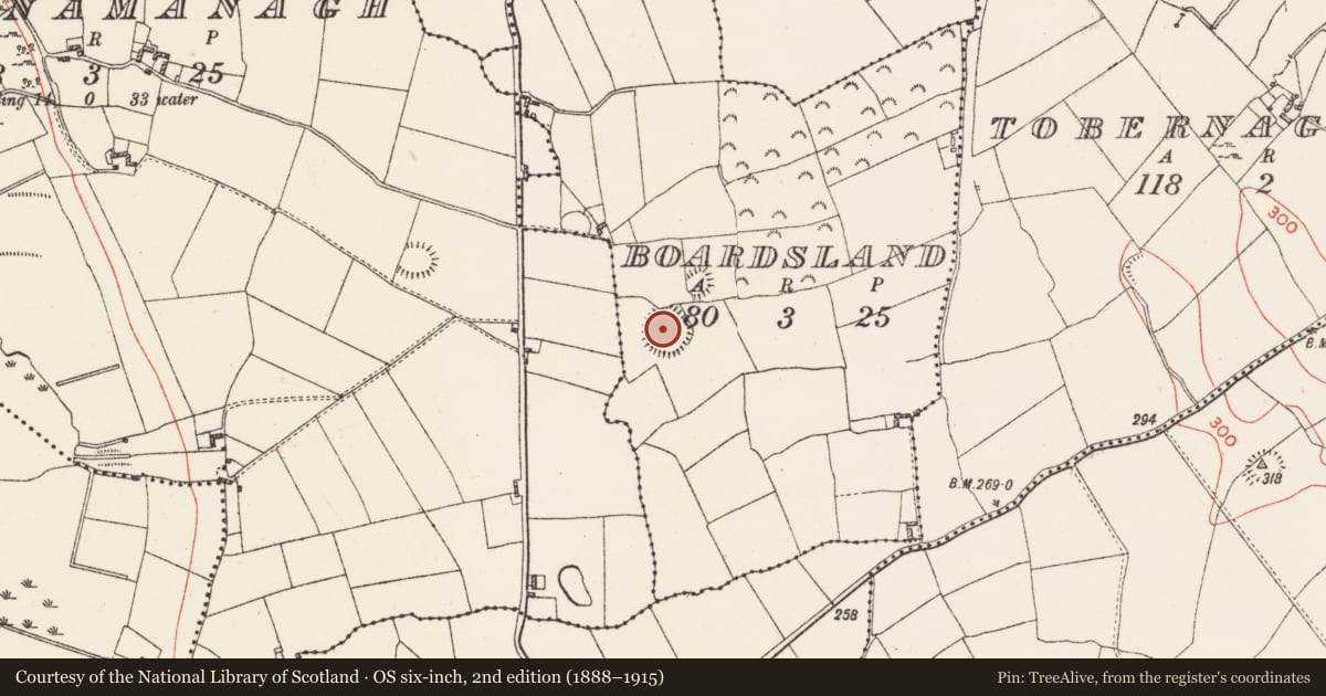 Ordnance Survey six-inch map, 2nd edition (1888–1915) covering the location of Ringfort - rath, Boardsland, County Westmeath, with a pin at the register's coordinates