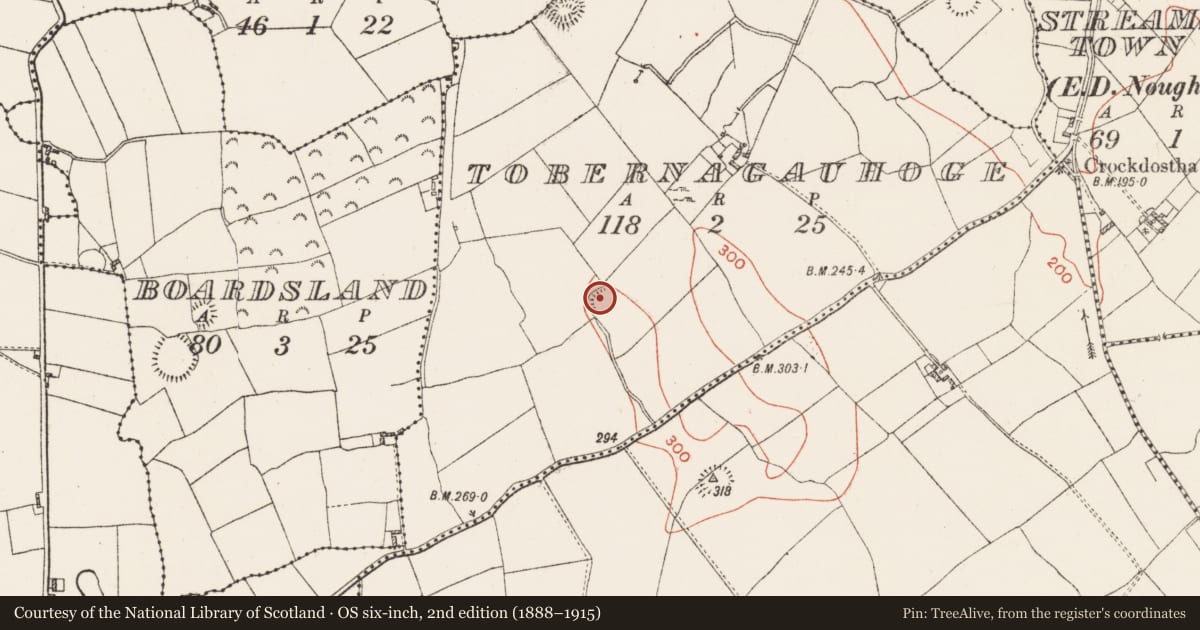 Ordnance Survey six-inch map, 2nd edition (1888–1915) covering the location of Ringfort - unclassified, Tobernagauhoge, County Westmeath, with a pin at the register's coordinates