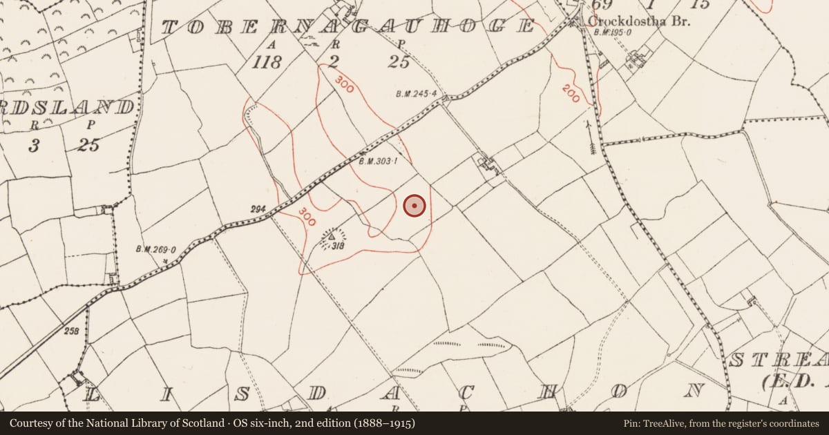 Ordnance Survey six-inch map, 2nd edition (1888–1915) covering the location of Standing stone, Lisdachon, County Westmeath, with a pin at the register's coordinates