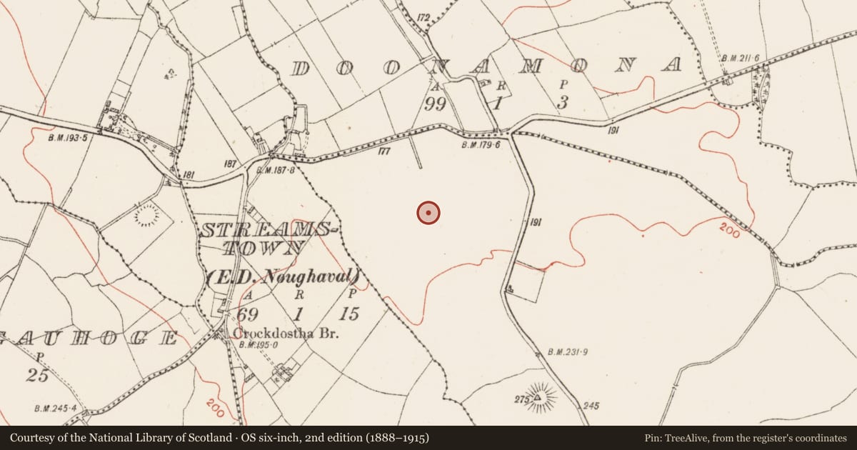 Ordnance Survey six-inch map, 2nd edition (1888–1915) covering the location of Settlement deserted - medieval, Dunnamona, County Westmeath, with a pin at the register's coordinates