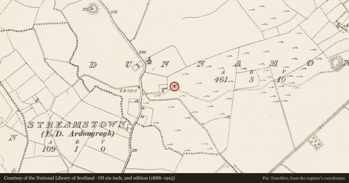 Ordnance Survey six-inch map, 2nd edition (1888–1915) covering the location of Castle - unclassified, Dunnamona, County Westmeath, with a pin at the register's coordinates