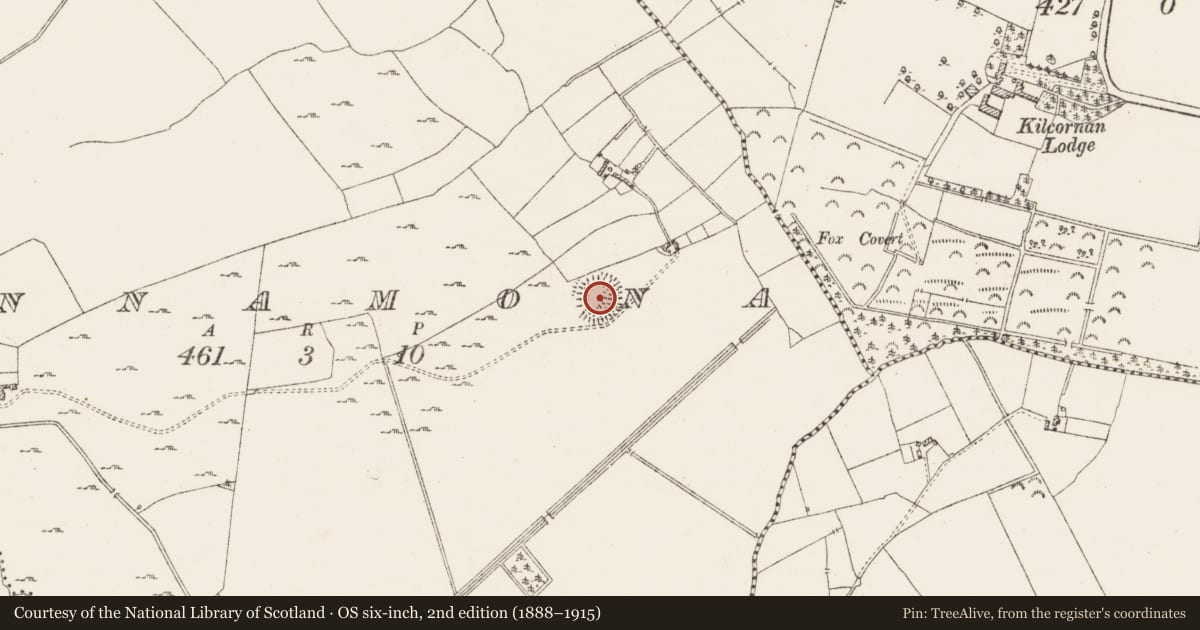 Ordnance Survey six-inch map, 2nd edition (1888–1915) covering the location of Ringfort - rath, Dunnamona, County Westmeath, with a pin at the register's coordinates