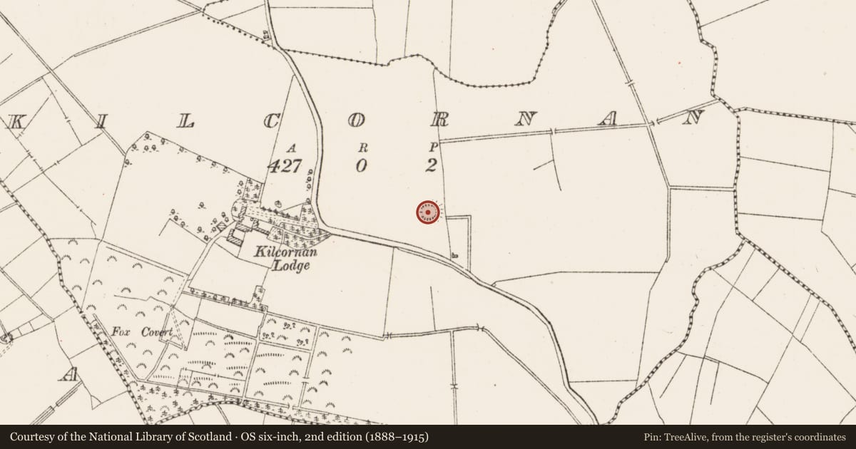 Ordnance Survey six-inch map, 2nd edition (1888–1915) covering the location of Ringfort - rath, Kilcornan, County Westmeath, with a pin at the register's coordinates