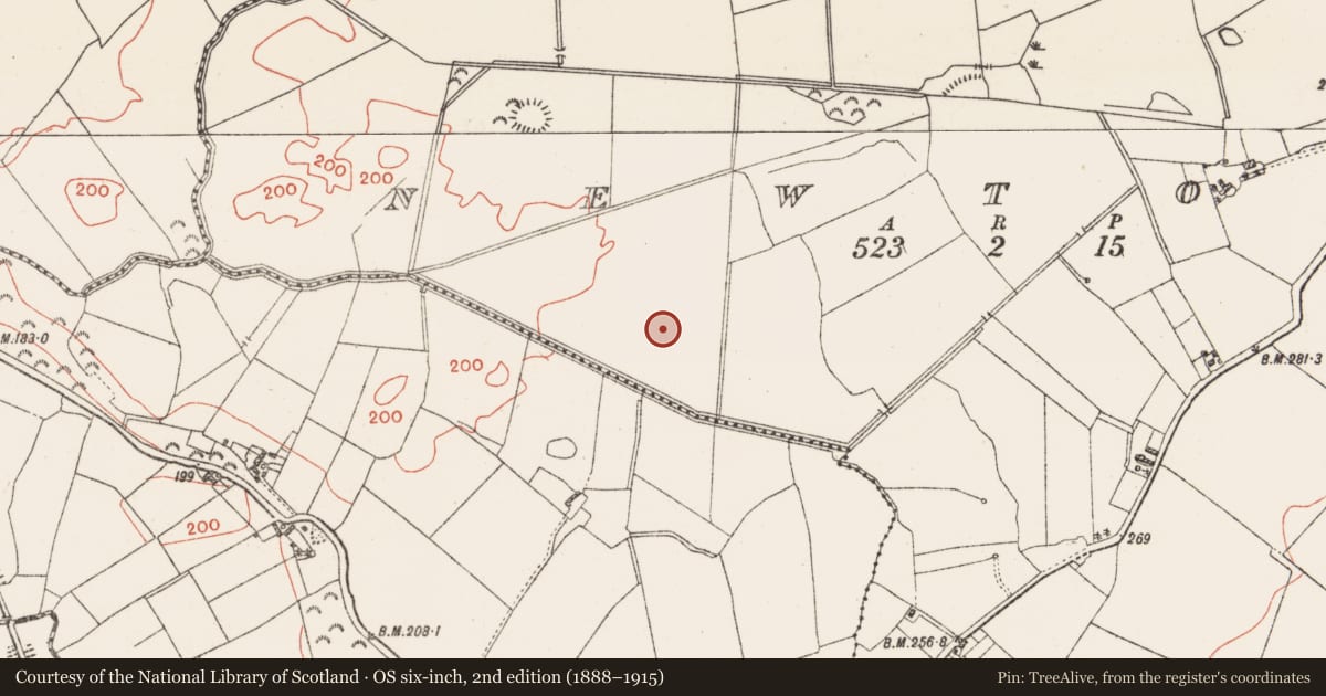 Ordnance Survey six-inch map, 2nd edition (1888–1915) covering the location of Ringfort - rath, Newtown, County Westmeath, with a pin at the register's coordinates