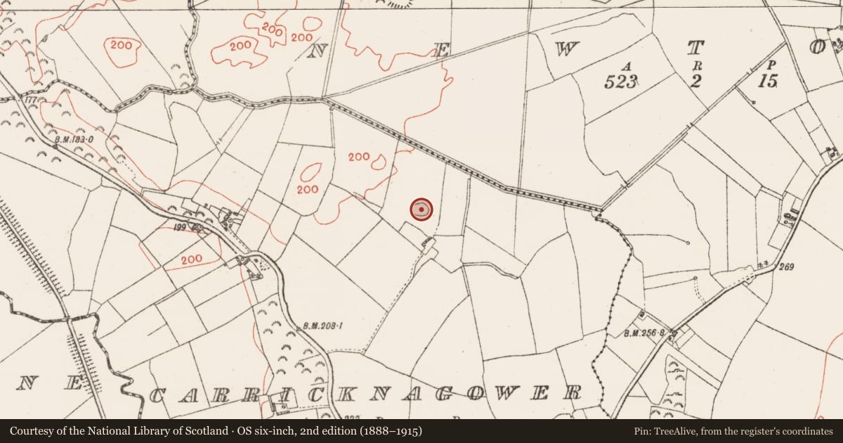 Ordnance Survey six-inch map, 2nd edition (1888–1915) covering the location of Barrow - unclassified, Carricknagower, County Westmeath, with a pin at the register's coordinates