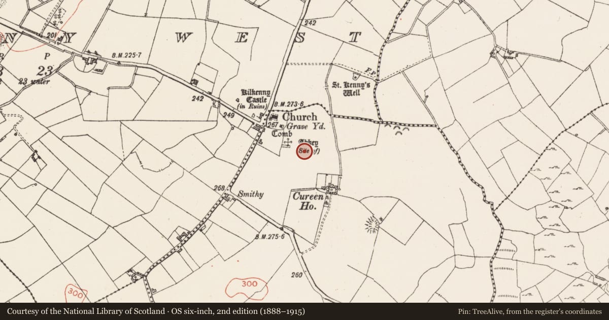 Ordnance Survey six-inch map, 2nd edition (1888–1915) covering the location of Religious house - Fratres Cruciferi, Kilkenny Abbey, County Westmeath, with a pin at the register's coordinates